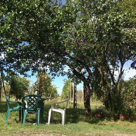 Il Canale Dei Mulini San Damiano Экстерьер фото